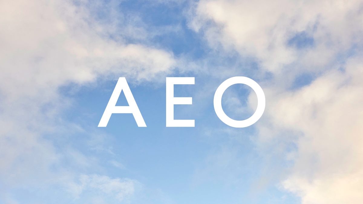 AEO Inc. Establishes the Aerie Real Foundation, Building on Aerie’s ...